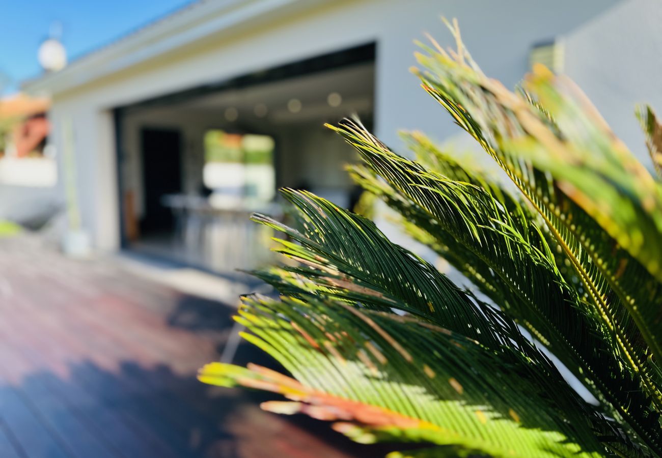 Maison à Le Bouscat - Oasis du Bouscat