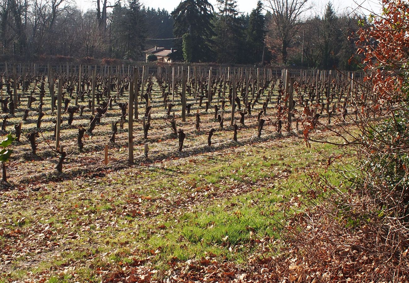 Maison à Léognan - Belle maison traditionnelle au coeur du Pessac Leognan