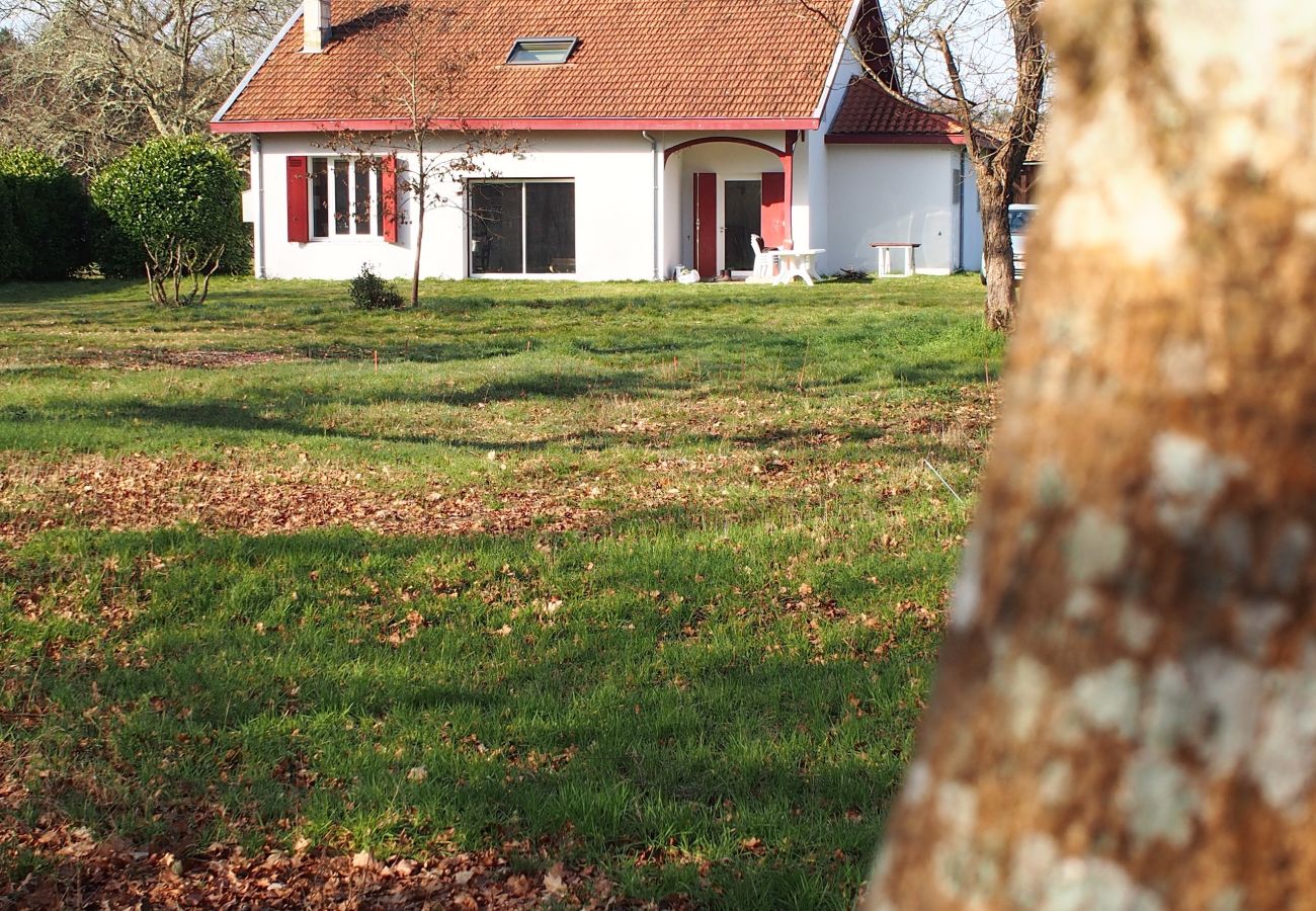 Maison à Léognan - Belle maison traditionnelle au coeur du Pessac Leognan