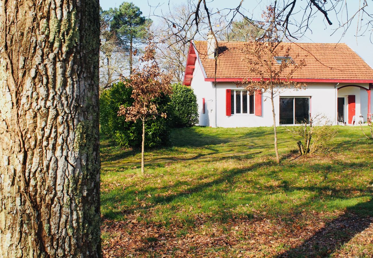 Maison à Léognan - Belle maison traditionnelle au coeur du Pessac Leognan