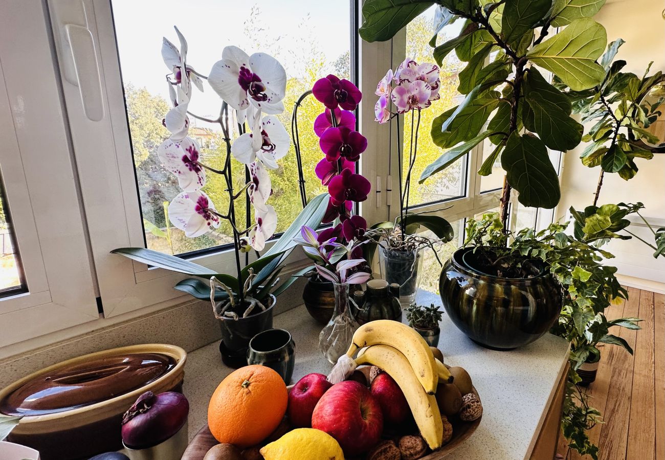 Appartement à Bordeaux - Atelier d’artiste lumineux avec verrière – Parc Rivière